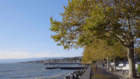 Menschen,-Die-An-Einem-Kalten,-Windigen-Herbsttag-Am-Ufer-Des-Genfersees-Entlang-Spazieren