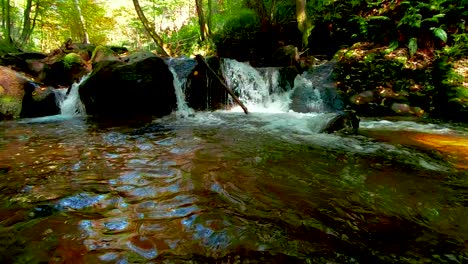 Slow-motion-video-of-peaceful-creek-in-a-wooded-setting