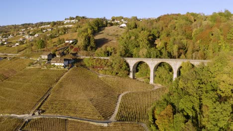 Aerial-orbit-in-front-of-"Pont-de-Bory"-railroad-viaduct-in-Lavaux-vineyard,-Switzerland