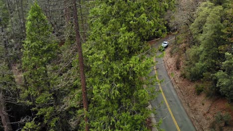 Aerial-shot-revealing-a-truck-pulling-a-boat-on-a-paved-road-through-the-forest-after-the-rain