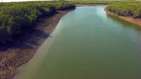 Tiefpass-über-Dem-Wasser-Des-Sees,-Der-Von-Einem-Großen-Mangrovenwald-Bedeckt-Ist
