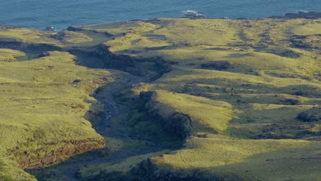 Aerial-view-of-the-Hawaiian-island-Maui-and-its-rolling-green-hill-landscape-and-river-beds