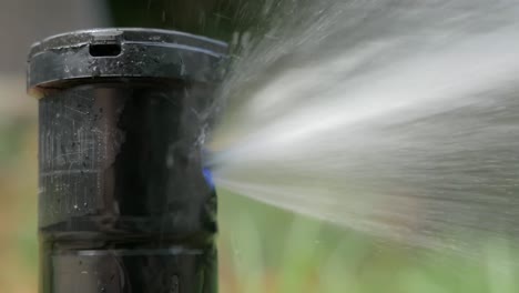 Close-up-of-a-pop-up-sprinkler-irrigating-lawn-and-garden