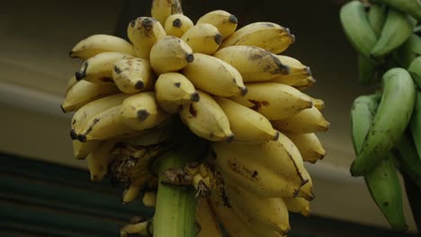 Venta-De-Plátanos-Pequeños-En-El-Mercado.-Asia