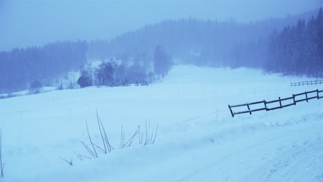 Landschaft-In-Norwegen-Im-Extremen-Winter-Bei-Schneesturm