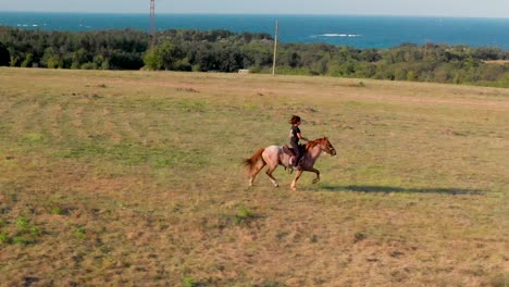 Horse-trotting,-Lozenec,-Bulgaria,-woman-ride-a-horse-in-a-field,-sea-as-background