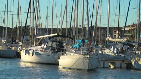 Sailboats-moving-in-the-wind-in-Miramar-harbour