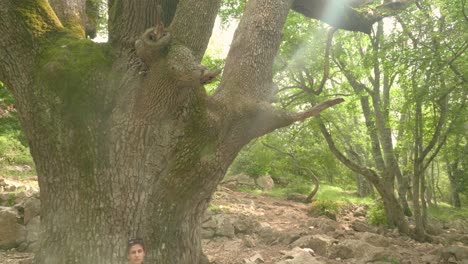 Eine-Schöne-Wanderin,-Die-Friedlich-Unter-Einem-Großen-Alten-Baum-Sitzt-Und-Das-Sonnenlicht-Durch-Die-Grünen-Blätter-In-Einem-Wald-In-Frankreich-Strahlt