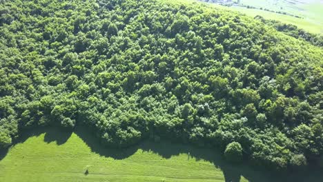 Aerial-view-of-the-deep-green-landscape-and-dense-forest-in-the-nature-preserve-in-Romania-known-as-Turda-Gorge