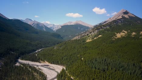 Aerial-Daytime-Wide-Shot-Flying-Forward-Over-A-Summer-Pine-Forest-And-The-Bends-And-Curves-Of-A-Swift-Steep-River-Flowing-Down-From-Rocky-Mountain-Peaks-in-Alberta-Canada