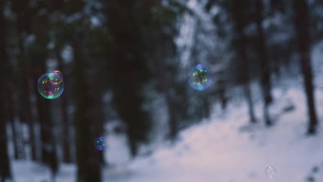 Burbujas-De-Jabón-De-Color-Arco-Iris-Que-Vuelan-Suspendidas-En-El-Aire,-Con-Un-Bosque-Nevado-En-El-Fondo