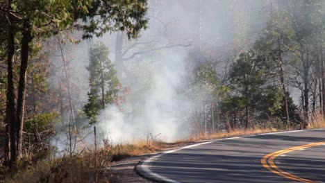 Smoke-from-forest-fire-burning-along-side-of-a-road-in-California