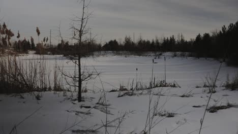 Panning-shot-across-a-frozen-landscape