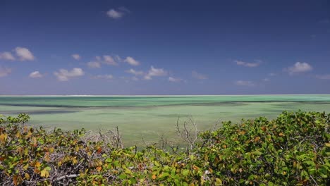 Las-Salinas-Rosadas-Y-Verdes-Y-Los-Lagos-De-Bonaire