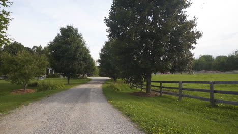 Walking-on-a-gravel-path-on-a-beautiful-farm