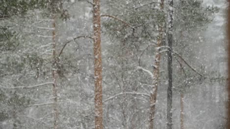 snowflakes-falling-in-slowmotion