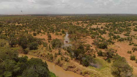 Eine-Elefantenherde-überquert-Einen-Fluss-In-Ol-Pejeta,-Kenia