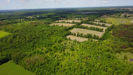 Drone-panning-across-a-lush-vista-of-forests-and-grasslands