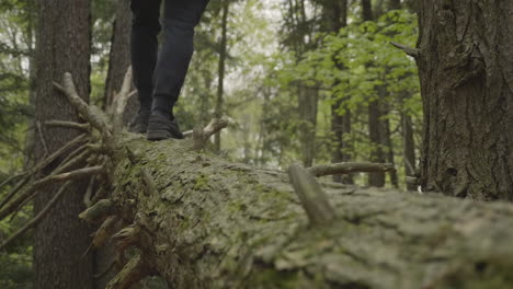 A-person-balancing-across-a-log-in-the-forest-in-slow-motion