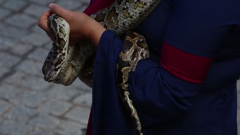 Woman-dressed-in-medievel-cloths-holding-a-pet-python-snake