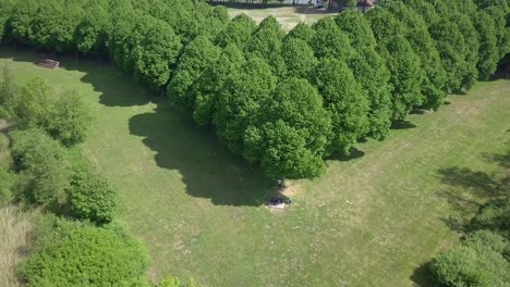 Drohnenaufnahmen-Vom-Sternförmigen-Auffliegen-Am-Stadtpark-In-Europa-Niederlande-In-4K