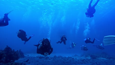 Two-groups-of-divers-crossing-underwater