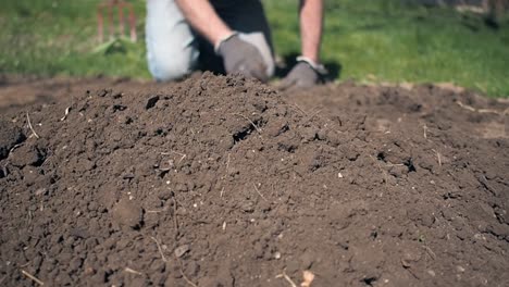 Man-working-in-garden-and-removing-weeds-from-soil