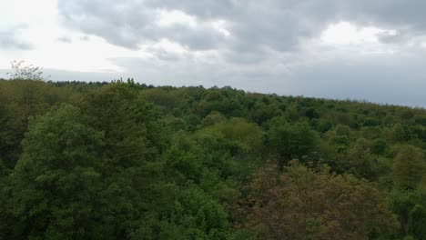 Aerial-shot-of-flying-over-trees-on-a-hill,-in-cloudy,-rainy-weather