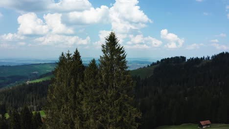 Luftaufnahme-Einer-Einzelnen-Windmühle-In-Der-Schweizer-Landschaft-Hinter-Kiefern,-Erneuerbare-Energie-Aus-Windkraftanlagen
