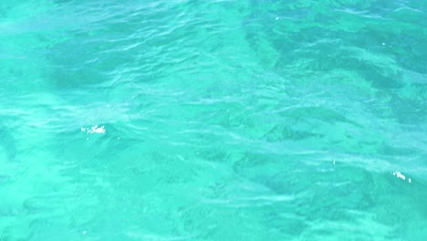 Turquoise-water-texture-as-clear-coastal-waves-ripple