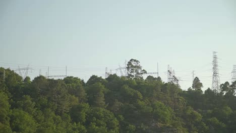 Electric-cables-above-green-forest-in-the-top-of-a-mountain-in-Portugal