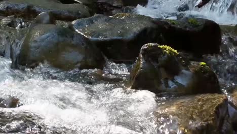 Wasser,-Das-An-Einem-Warmen-Frühlingstag-über-Moosbedeckte-Felsen-In-Einem-Bergbach-Kaskadiert