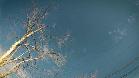 Zeitraffer-Der-Wolken,-Die-über-Einen-Toten-Baum-Und-Stromleitungen-Ziehen