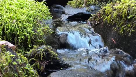 Wasser,-Das-An-Einem-Warmen-Frühlingstag-über-Moosbedeckte-Felsen-In-Einem-Bergbach-Kaskadiert
