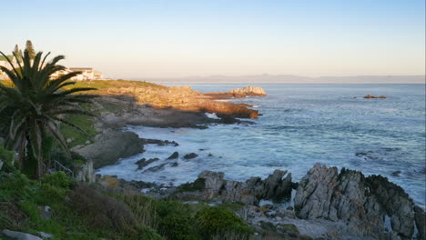 TimeLapse---Waves-crashing-into-rocky-coastline-as-sun-is-setting,-palm-tree-in-foreground,-Hermanus,-South-Africa