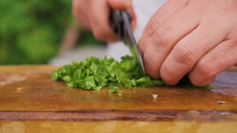 Chef-cuts-fresh-organic-parsley-on-wooden-board,-close-view