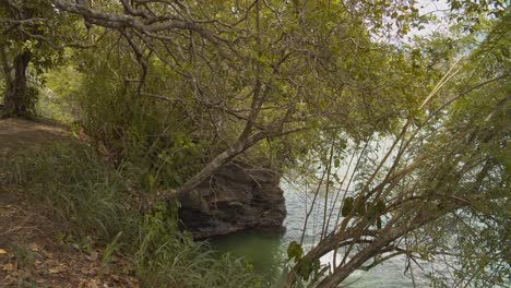 Kids-cliff-jumping-into-the-Caribbean-sea-on-the-north-coast-of-Trinidad