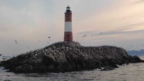 Les-Eclaireurs-lighthouse-surrounded-by-a-large-colony-of-cormorants-at-sunset