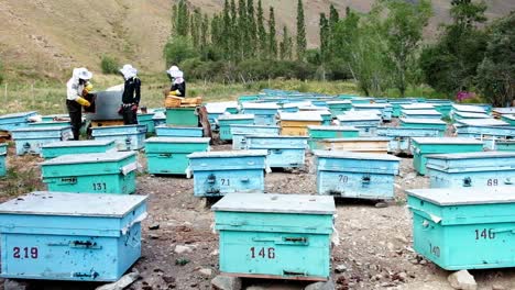 Beekeepers-looking-after-beehives-in-Kyrgyzstan-Central-Asia-located-in-a-beautiful-valley-of-the-mountains