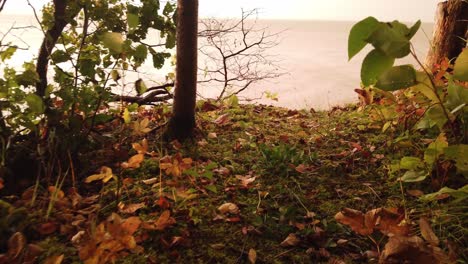 Herbstsonnenuntergangswind,-Der-An-Den-Blättern-In-Wisconsin-Vorbeizieht