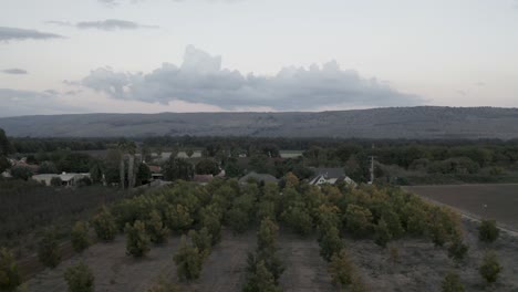 Aerial-fly-between-trees-to-reveal-Mitzpe-Shalem-kibbutz-view,-Israel