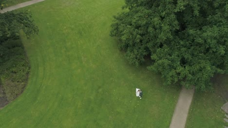 Aerial-of-Young-Wedding-Couple-in-a-Park-in-front-of-huge-Tree-holding-Hands-and-Kissing