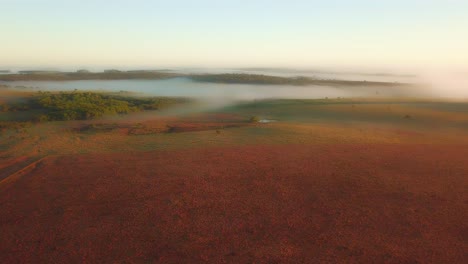Early-morning-mist,-grasslands,-rainforest-and-pine-trees-just-after-sunrise