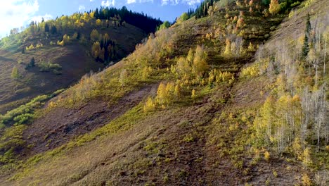 Goldene-Espen-In-Den-Rocky-Mountains-Von-Colorado,-Während-Sich-Die-Blätter-Im-Herbst-Verändern