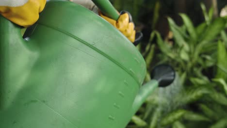 lift-green-watering-can-to-water-plants
