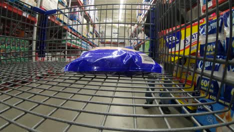 Teen-boy-fills-family-cart-with-toilet-paper-and-cheese