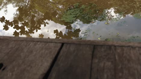 Slider-Aufnahme-Von-Spiegelungen-Im-Fluss,-Gesehen-Von-Einem-Holzsteg-Aus