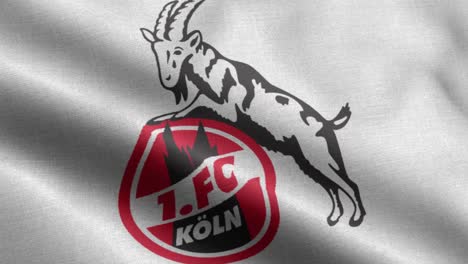 White-4k-closeup-animated-loop-of-a-waving-flag-of-the-Bundesliga-soccer-team-Cologne