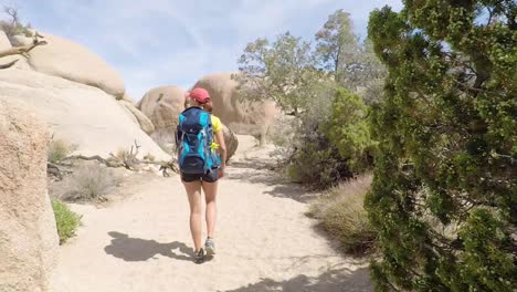 Mujer-Joven-Caminando-En-El-Parque-Nacional-Joshua-Tree,-California,-Ee.uu.