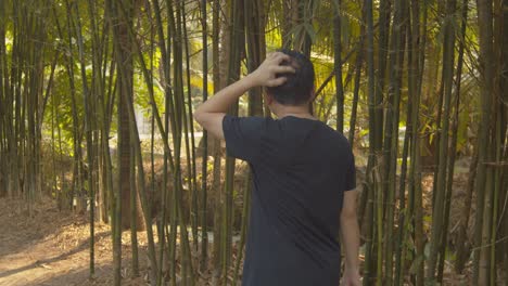 A-balding-man-walking-through-a-bamboo-grove-can't-stop-itching-his-scalp-due-to-dandruff